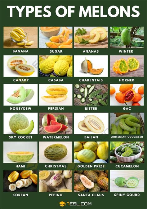 13 Different Types of Melons